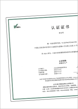 Lee Spring China Suzhou ISO 9001-2015 Zertifikate
