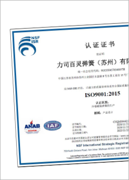 Lee Spring China Suzhou ISO Certificate